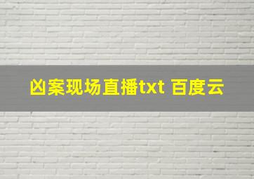 凶案现场直播txt 百度云